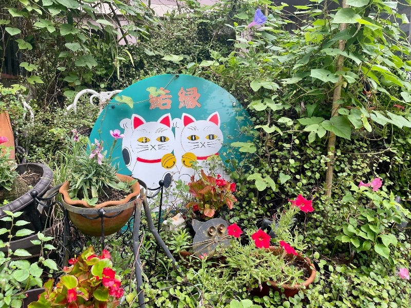 くろね子さんのスパ&カプセル ニューウイングのサ活写真