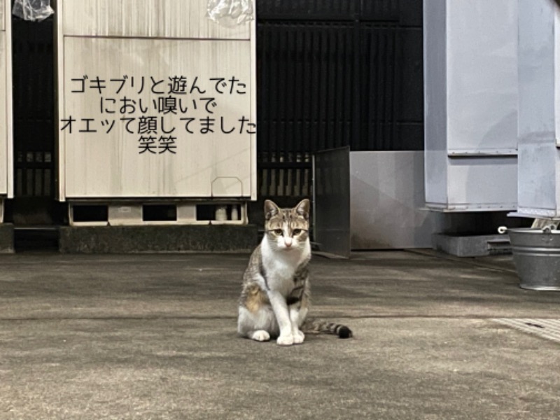 くろね子さんのリラクゼーションスパ アペゼのサ活写真