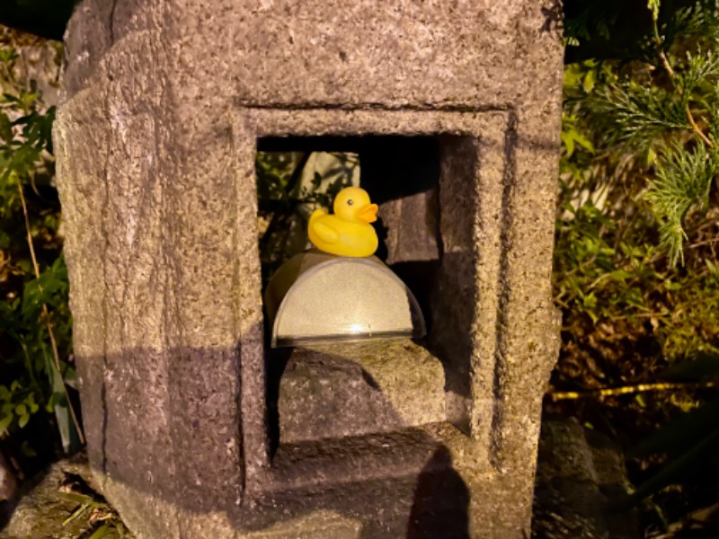 くろね子さんの猿投温泉 金泉の湯のサ活写真