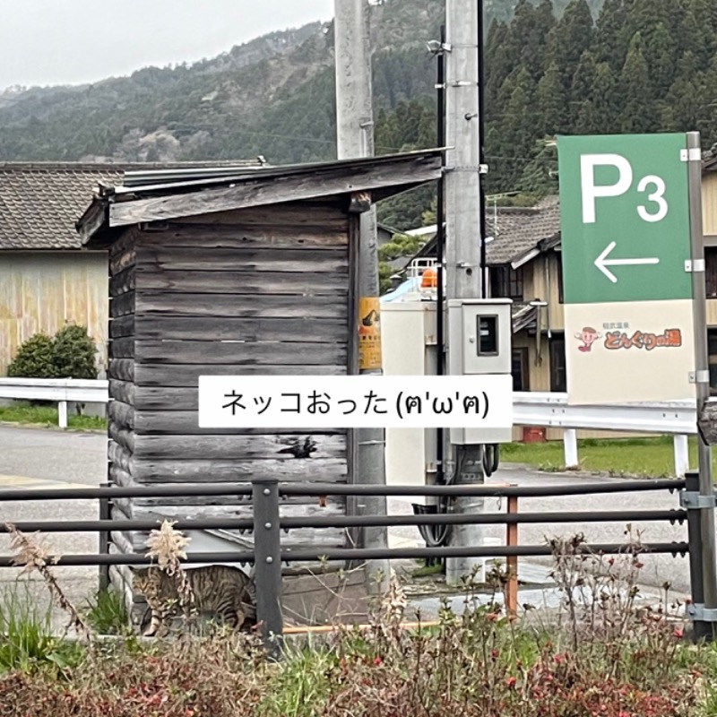 くろね子さんの稲武温泉 どんぐりの湯のサ活写真