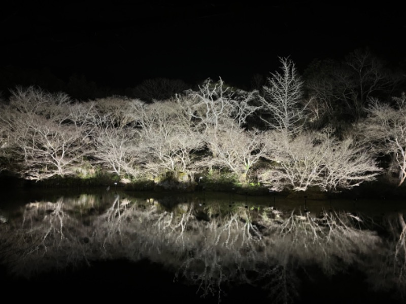 ナイキくんさんの御船山楽園ホテル  らかんの湯のサ活写真