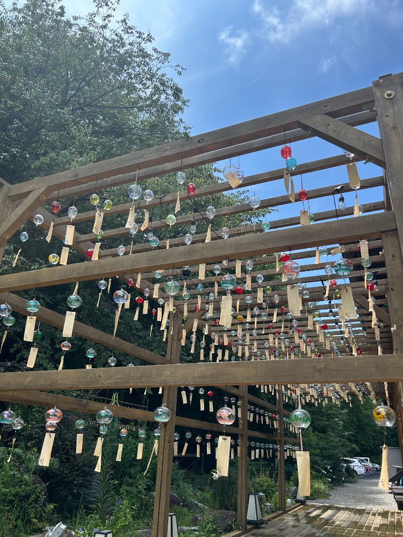 ゆかりんごさんの天然温泉 三峰のサ活写真