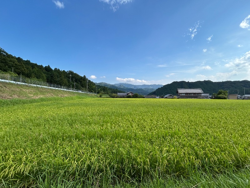 ゆかりんごさんの伊賀の国 大山田温泉 さるびののサ活写真