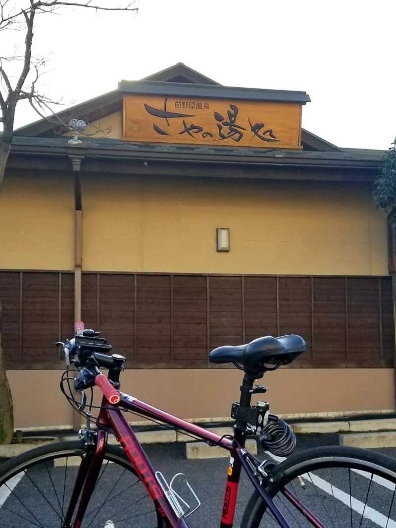 たけしさんの前野原温泉 さやの湯処のサ活写真