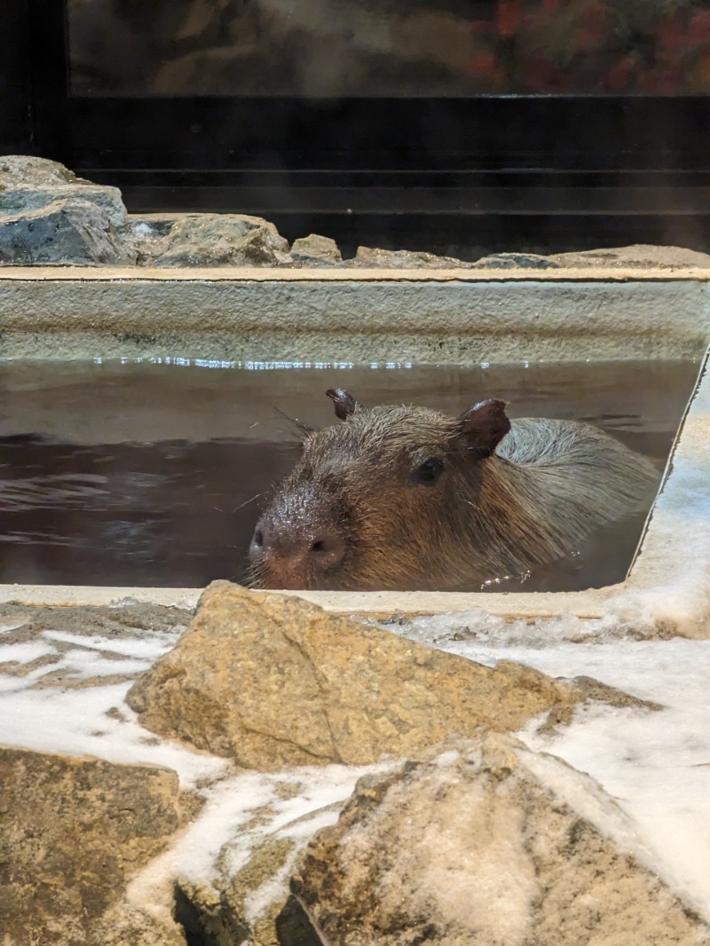 けんうっどさんの石狩天然温泉 番屋の湯のサ活写真