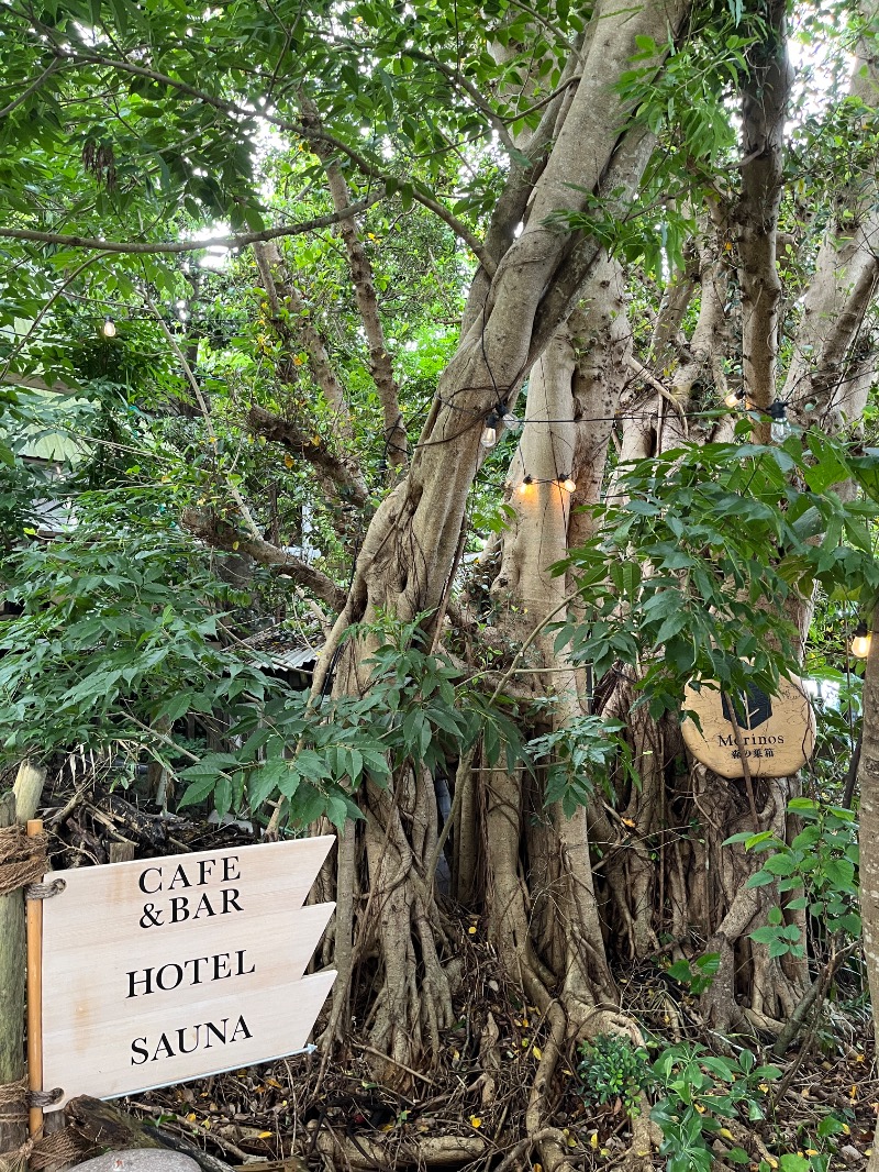 ナカネンさんのサウナ 森の巣箱のサ活写真