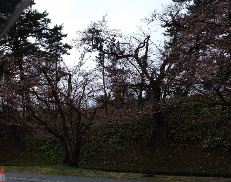 眠り磨呂（アンデッド中）さんの境関温泉のサ活写真