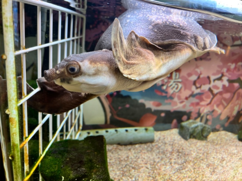 サウナライダーさんの松本湯のサ活写真