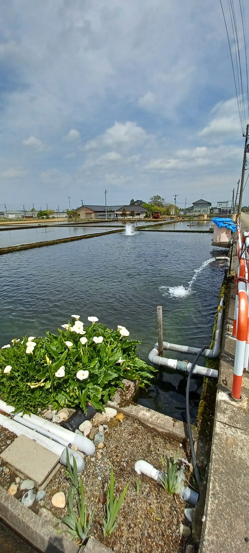 しょう1188さんの光明石温泉 福岡の湯のサ活写真