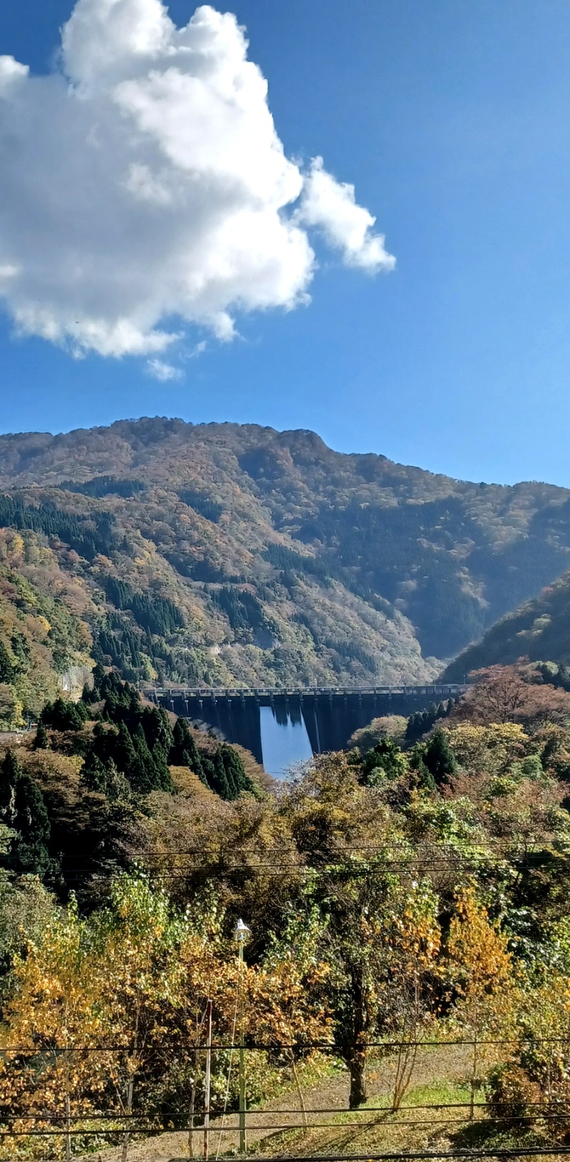 しょう1188さんのおまき温泉スパガーデン和園のサ活写真