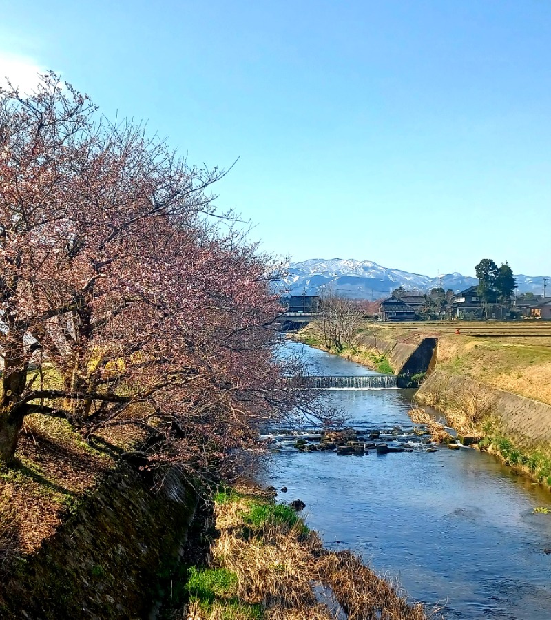 しょう1188さんのゆ～ゆうランド・花椿のサ活写真