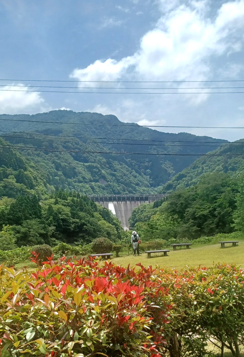 しょう1188さんの柳湯のサ活写真