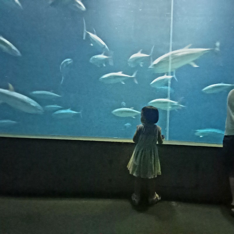 しゃんさんの横濱スパヒルズ 竜泉寺の湯のサ活写真