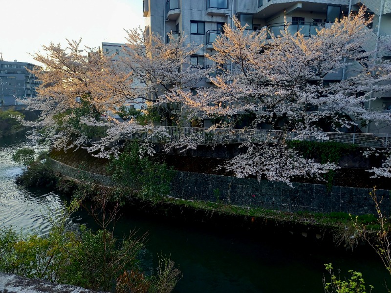 しゃんさんの天然温泉 満天の湯のサ活写真
