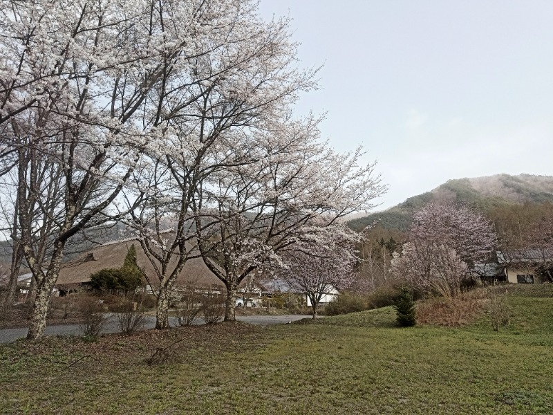 蒸し諜報員さんのかやぶきの館のサ活写真