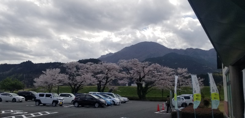 ぺんぺんさんのなんぶの湯のサ活写真