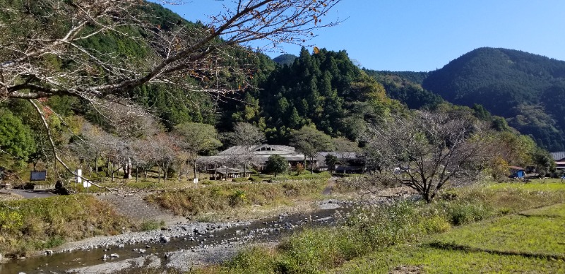 ぺんぺんさんの新稲子川温泉ユー・トリオのサ活写真