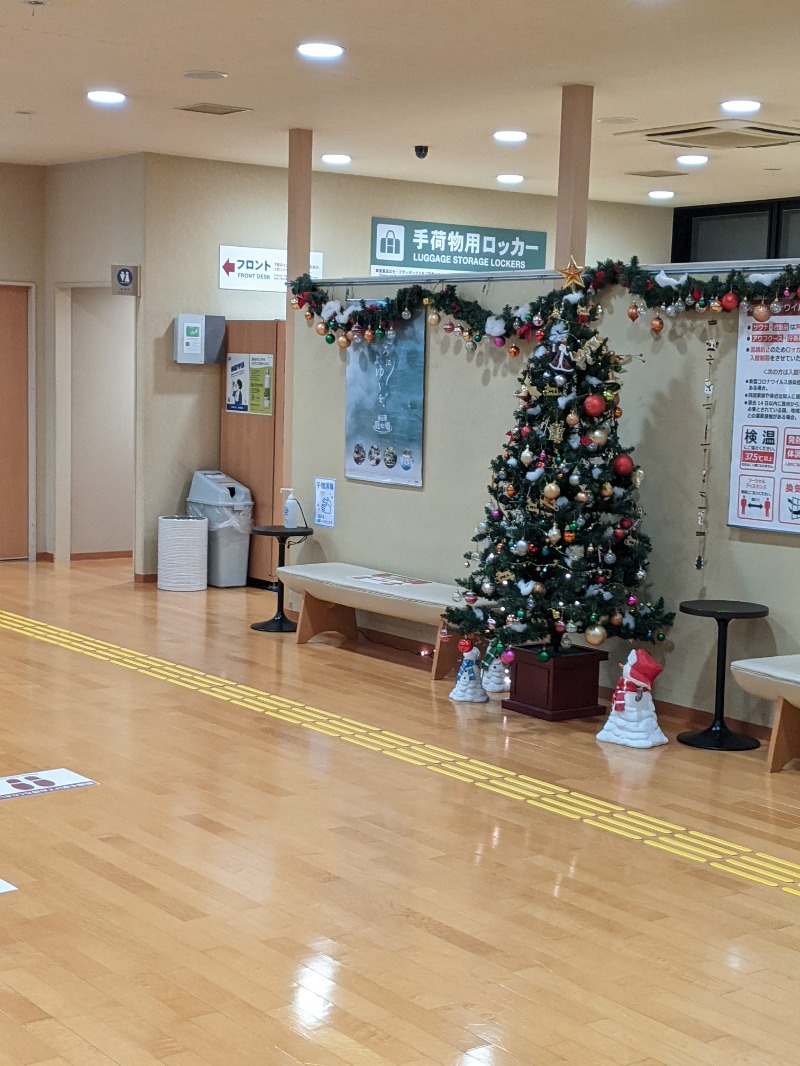 まっきぃさんの豊島園 庭の湯のサ活写真