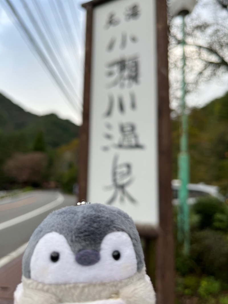 チカ@サウナコウペンちゃんさんの小瀬川温泉のサ活写真