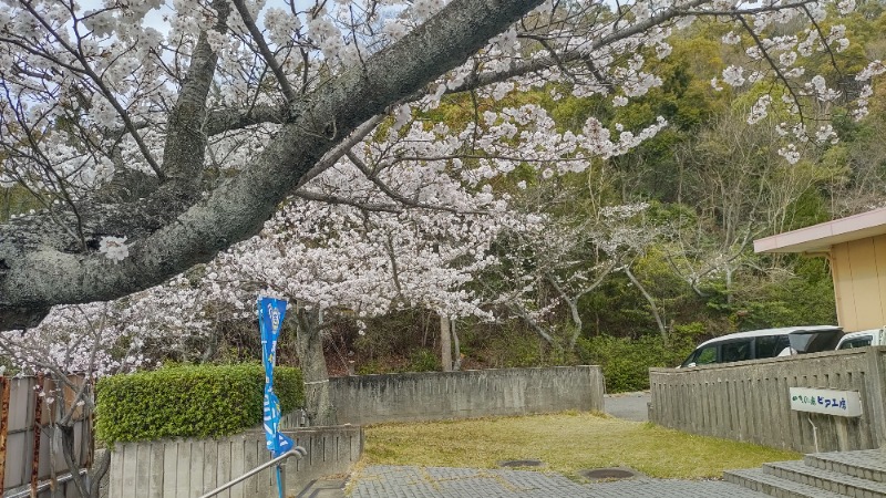 ｸｲｯｸ_ｸｴﾝﾁさんの湯ノ浦温泉四季の湯ビア工房のサ活写真