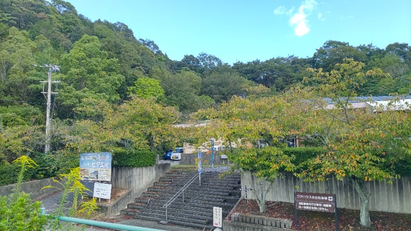ｸｲｯｸ_ｸｴﾝﾁさんの湯ノ浦温泉四季の湯ビア工房のサ活写真