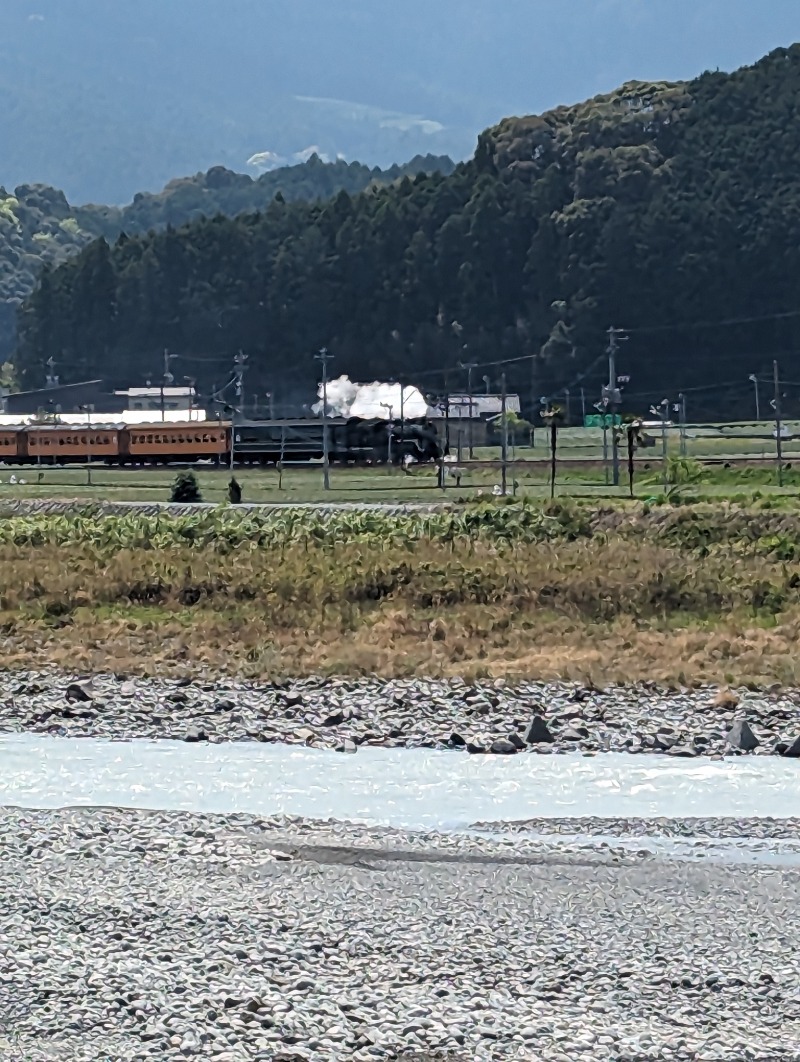 みみさんの大井川鐵道 川根温泉ホテルのサ活写真