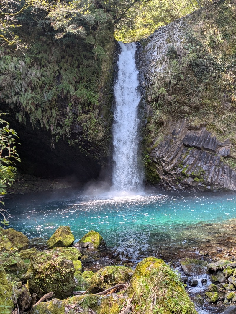 みみさんの観音温泉 プリンシプルのサ活写真