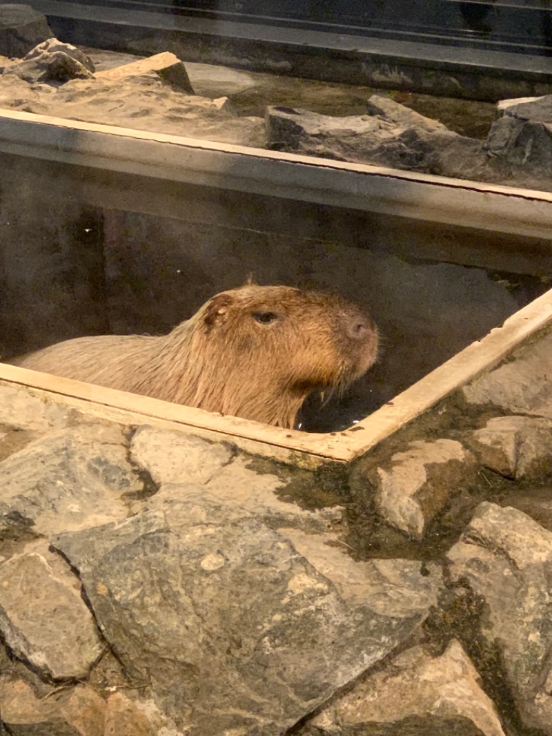 ユウさんの石狩天然温泉 番屋の湯のサ活写真