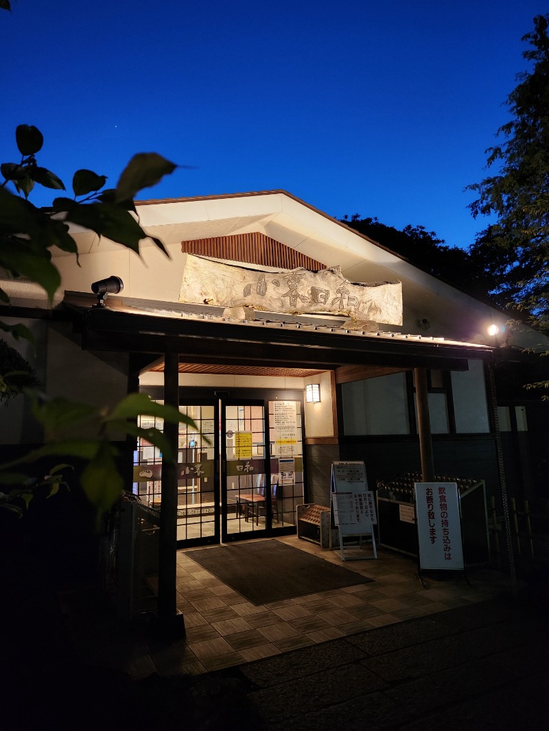 サウナー整体師ひのっちさんの見沼天然温泉 小春日和のサ活写真