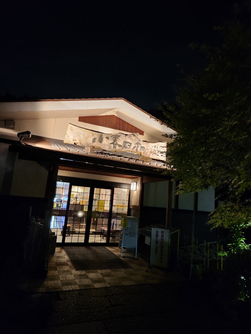 サウナー整体師ひのっちさんの見沼天然温泉 小春日和のサ活写真