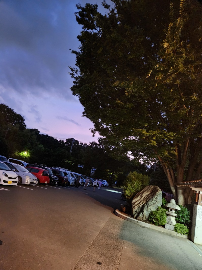 サウナー整体師ひのっちさんの見沼天然温泉 小春日和のサ活写真