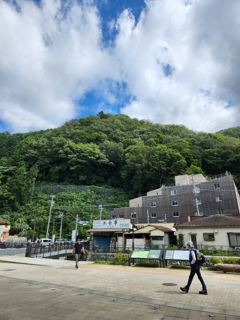 サウナー整体師ひのっちさんの京王高尾山温泉 極楽湯のサ活写真