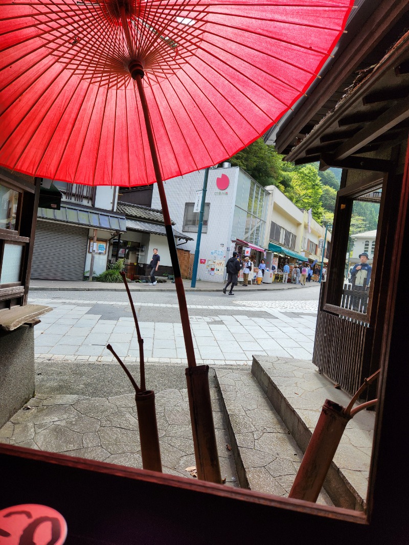 サウナー整体師ひのっちさんの京王高尾山温泉 極楽湯のサ活写真