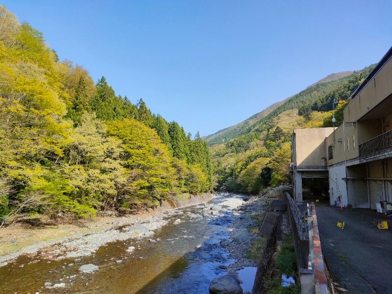 みーむさんの道志川温泉紅椿の湯のサ活写真