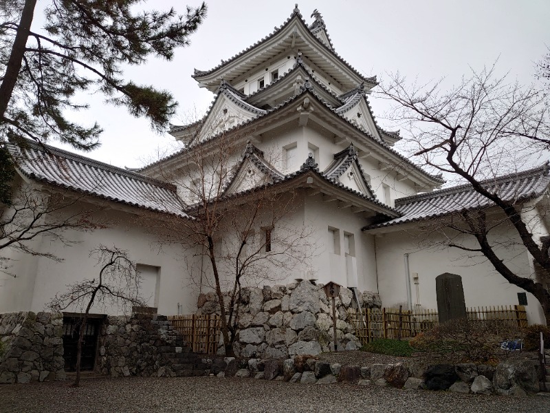 自由な旅人さんの大垣サウナのサ活写真