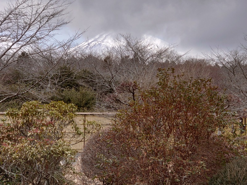 自由な旅人さんの御胎内温泉健康センターのサ活写真