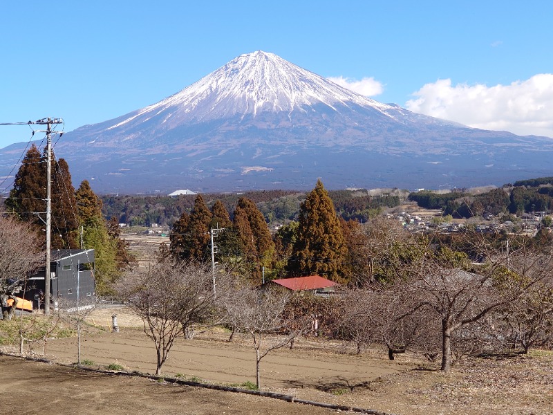 自由な旅人さんの新稲子川温泉ユー・トリオのサ活写真