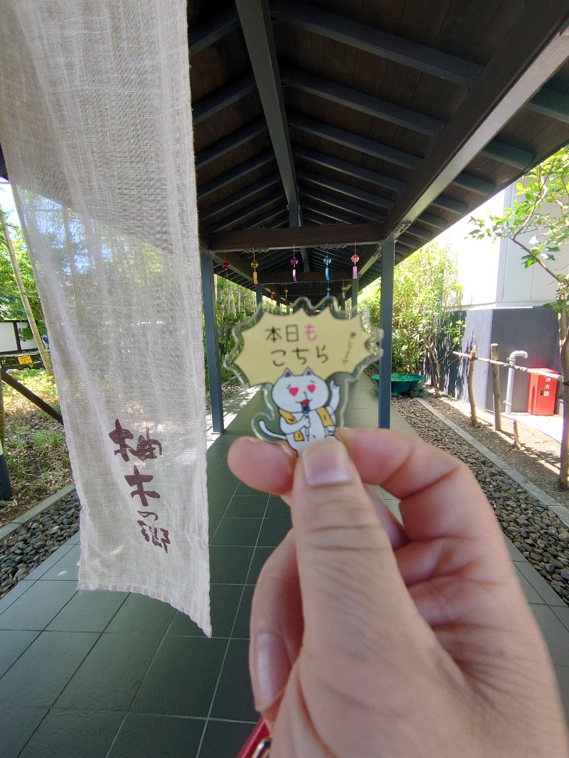 自由な旅人さんの東静岡 天然温泉 柚木の郷のサ活写真