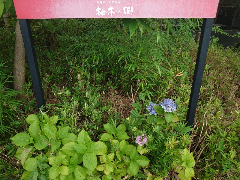 自由な旅人さんの東静岡 天然温泉 柚木の郷のサ活写真