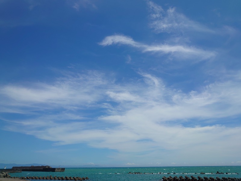 自由な旅人さんの用宗みなと温泉のサ活写真