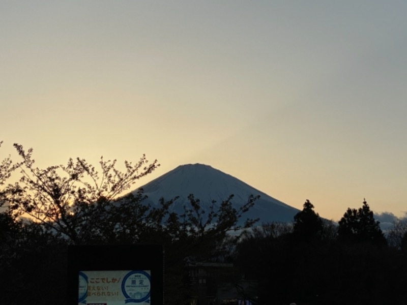 Moriko Saunnerさんの天然温泉 富士桜の湯 ドーミーインEXPRESS富士山御殿場のサ活写真