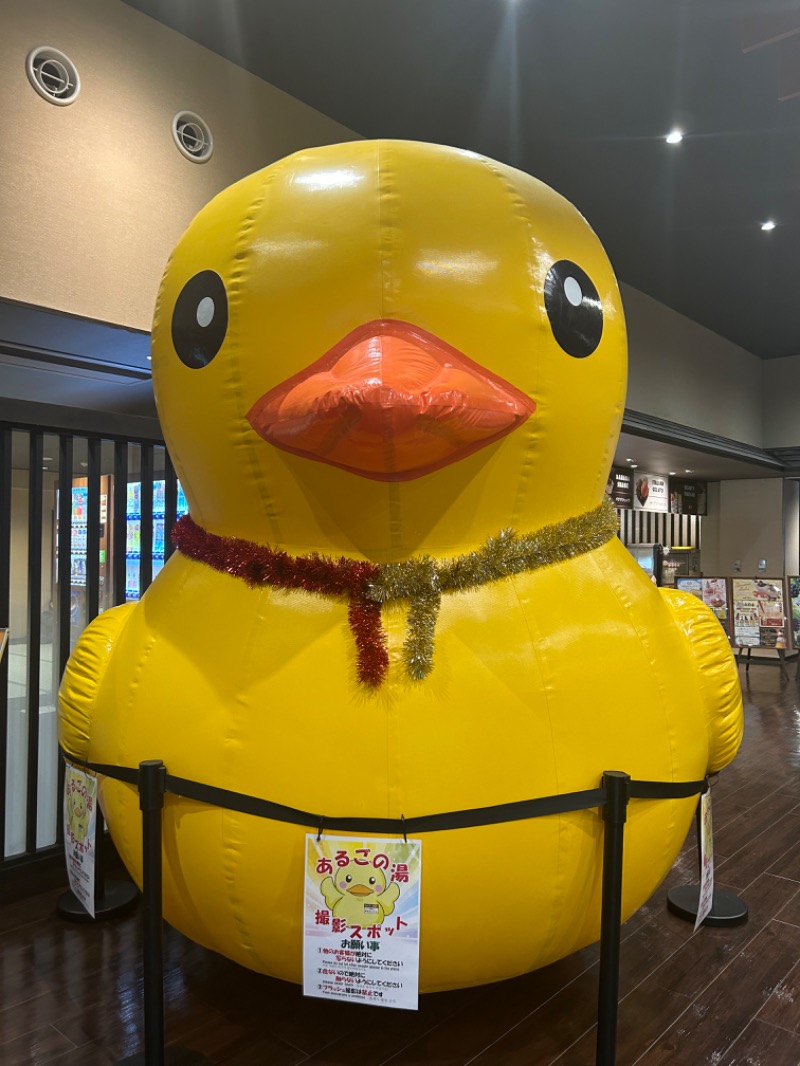 茶茶さんの神州温泉 あるごの湯のサ活写真