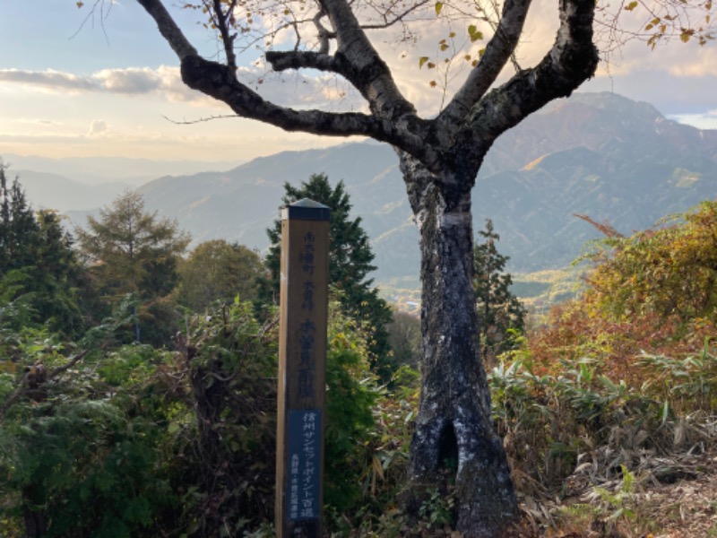 サ傷を背負うオレンジさんの大江戸温泉物語 ホテル木曽路のサ活写真