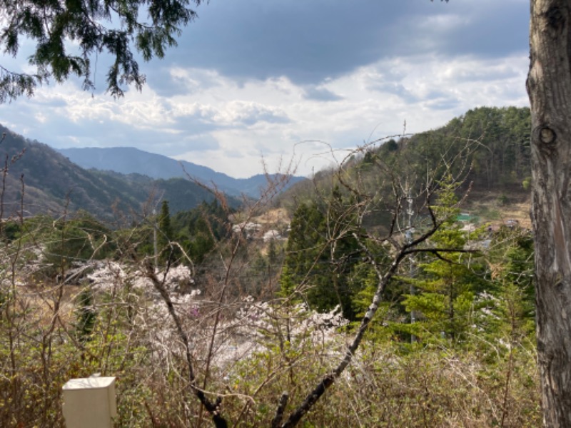 サ傷を背負うオレンジさんの大江戸温泉物語 ホテル木曽路のサ活写真