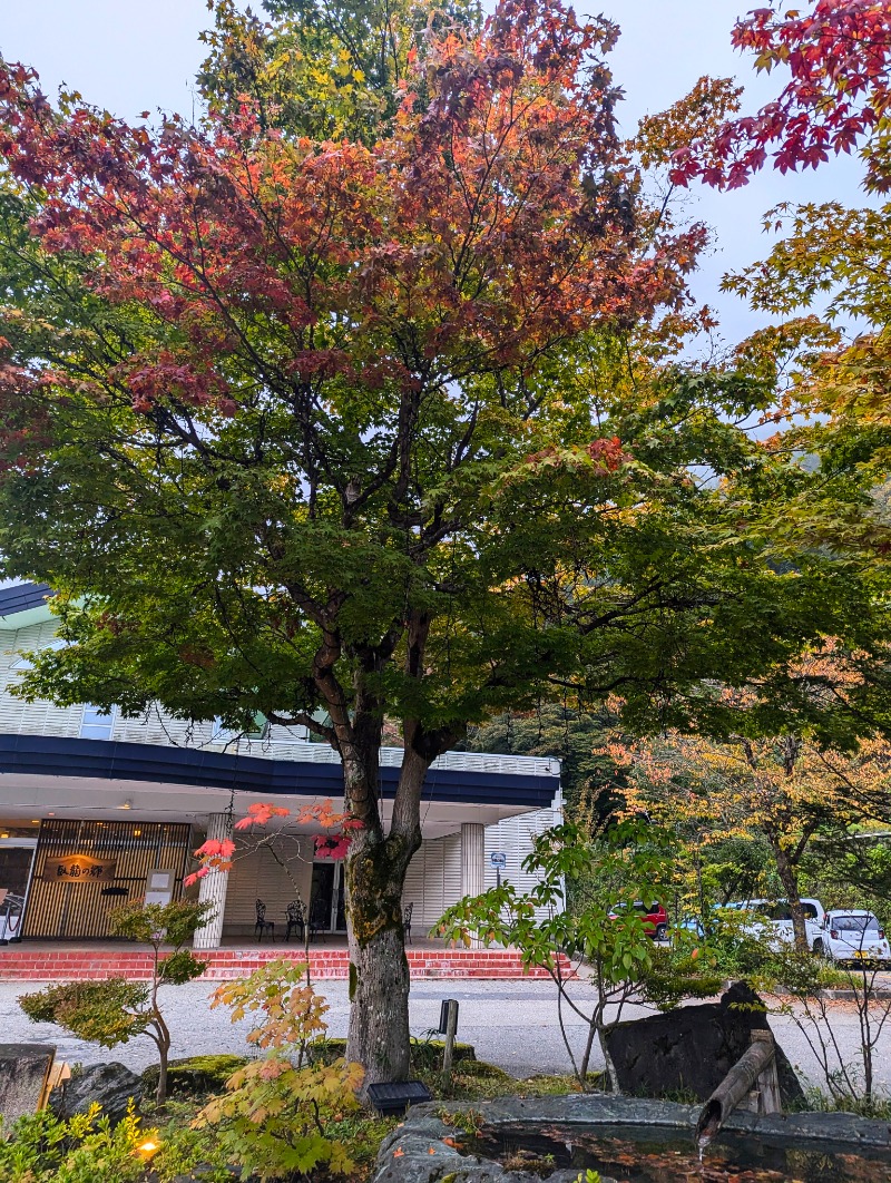 しょう1188さんの飛騨高山 自家源泉の湯 臥龍の郷のサ活写真