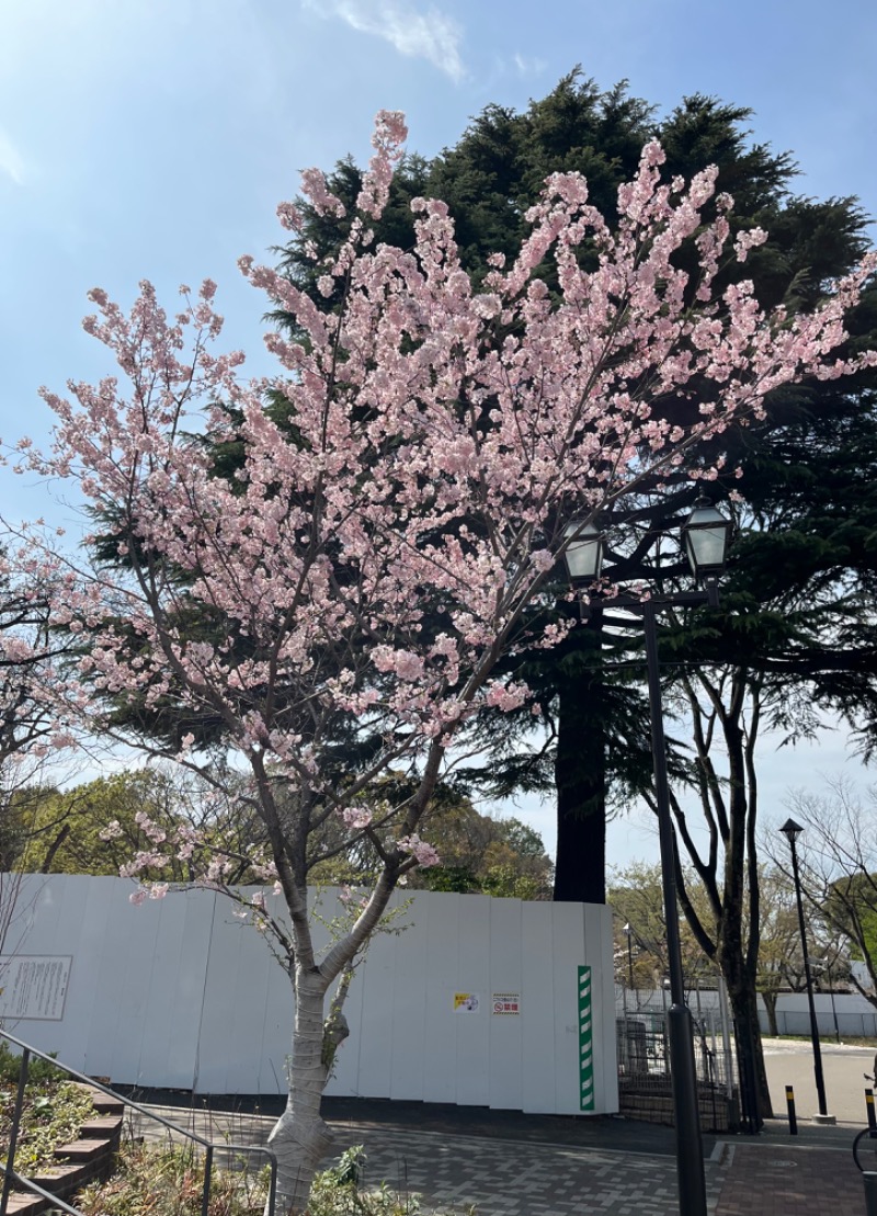 市原 淳さんの豊島園 庭の湯のサ活写真