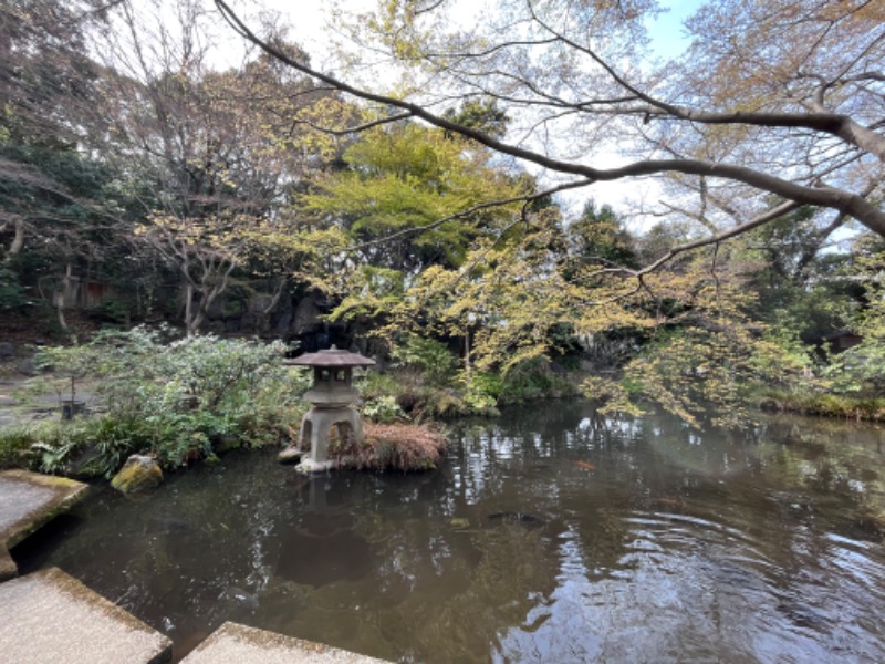 市原 淳さんの豊島園 庭の湯のサ活写真