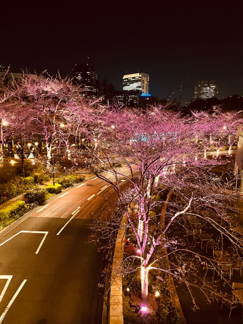 Riverside ownerさんの伝馬の湯 ドーミーインPREMIUM東京小伝馬町のサ活写真