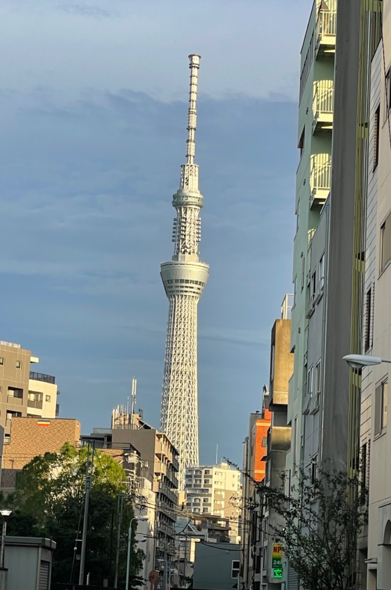 ととりまさんの天然温泉 湯どんぶり栄湯のサ活写真