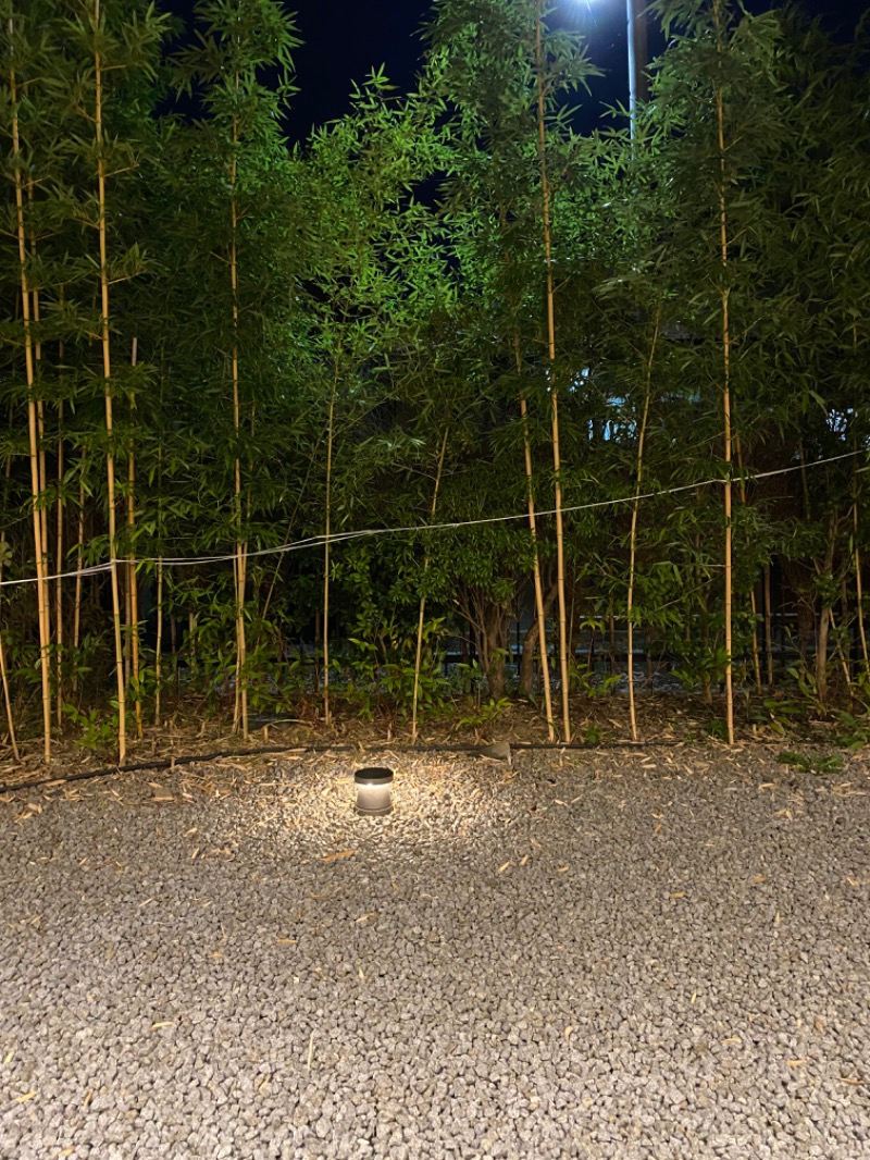 西湘アングラーさんの山梨泊まれる温泉 より道の湯のサ活写真